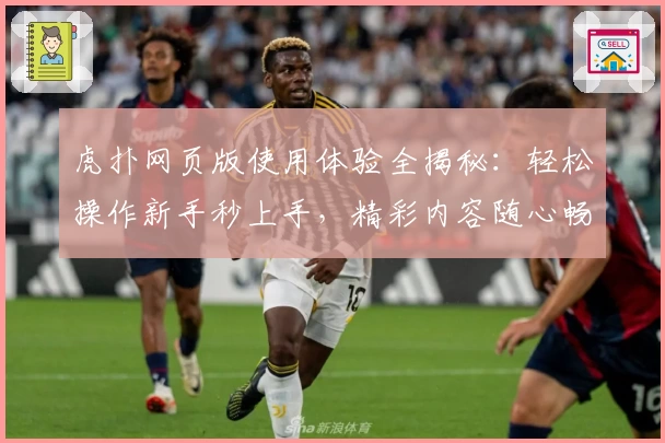 虎扑网页版使用体验全揭秘:轻松操作新手秒上手,精彩内容随心畅享